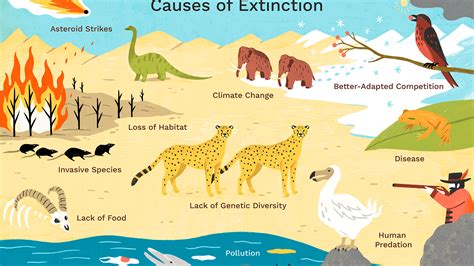 Were Animals On Earth Before Humans - The Earth Images Revimage.Org