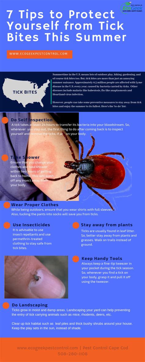 7 Tips to Protect Yourself from Tick Bites While Being Outdoor This ...