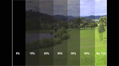 Tint Chart - Riset