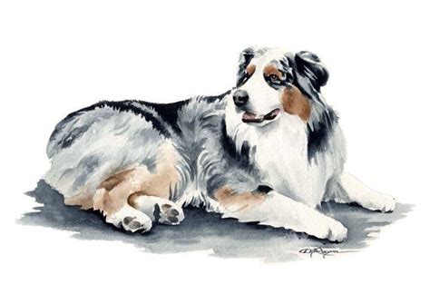 Australian Shepherd Traditional Watercolor Art Print by Artist DJ ...