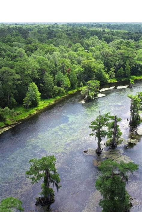 Ultimate Guide to Wakulla Springs, Florida (Tours, Pricing, History ...