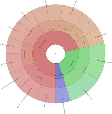 Diversity of microbiota in Slovak summer ewes’ cheese “Bryndza”