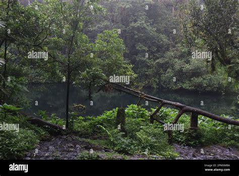 Emerald green lake known as Telaga Warna in Gunung Gede Pangrango ...