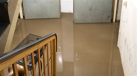 Basement Water Damage - What You Need to Know