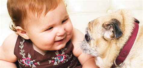 Dogs and Babies | ASPCA