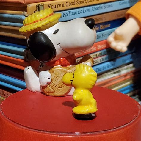 Refocusing - CollectPeanuts.com