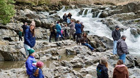 Orleans witnesses annual Steelhead trout migration, draws visitors from ...