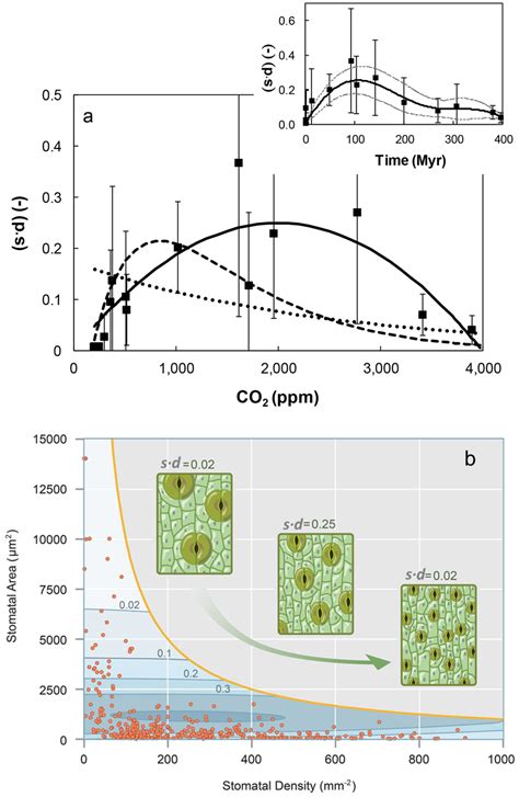 Fossil record-based plant leaf stomatal size and density, (s ⋅d ...