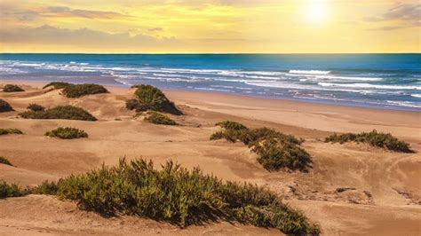 Sunset Landscape In Agadir Morocco Where Desert Sand Turns Into A Beach ...