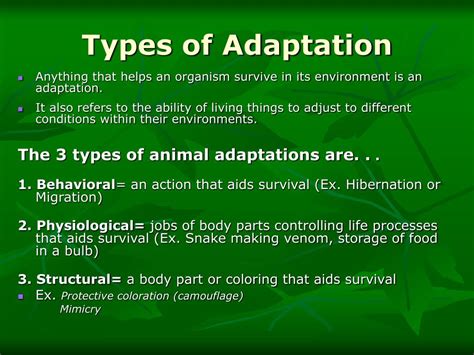 Different Types Of Adaptations