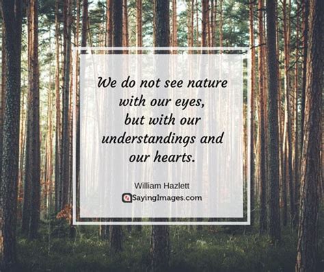 30 Beautiful Nature Quotes | SayingImages.com