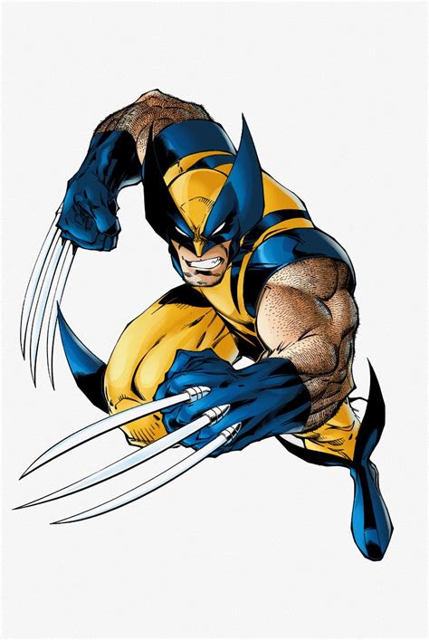 Wolverine | Wolverine marvel art, Wolverine artwork, Wolverine comic