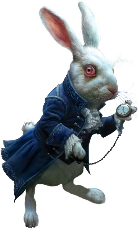 Download Яндекс - Фотки - Alice In Wonderland White Rabbit Png - HD ...