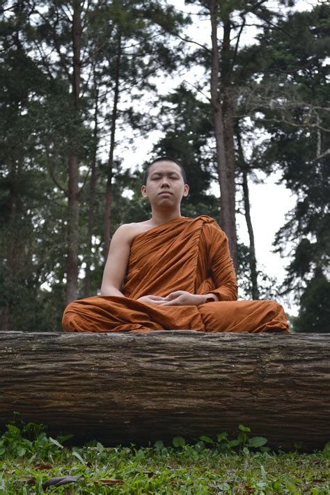 File:Buddhist monk meditation.jpg - Wikimedia Commons