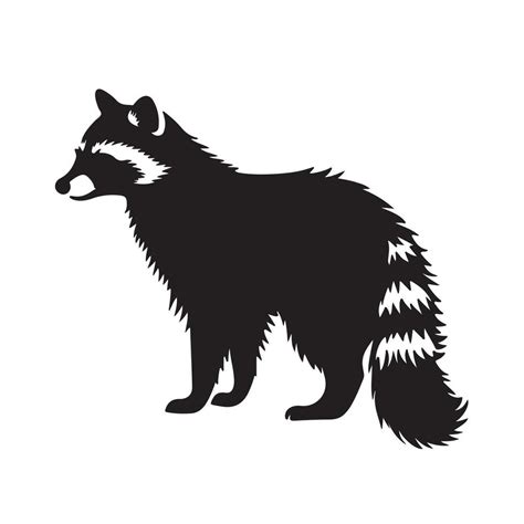 raccoon silhouette Vector 29193079 Vector Art at Vecteezy