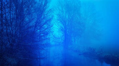 Blue Fog Pictures | Download Free Images on Unsplash