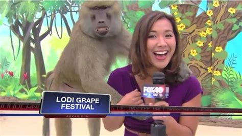 The Funniest News Bloopers of 2013 (You'll Want to Send This to ...