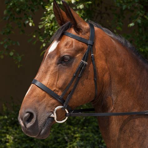 Requisite Snaffle Bridle - Bridles - Bridlework - Saddles & Tack ...