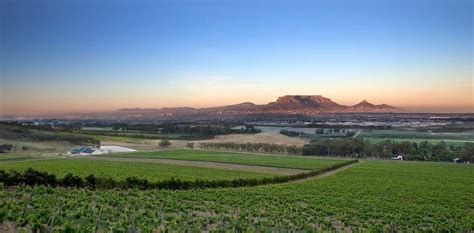 De Grendel Wine Estate, South Africa