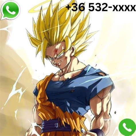 Goku Phone Number (2024) - Email, Address, Contact