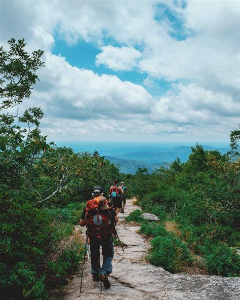 Are Dogs Allowed Hiking Appalachian Trail