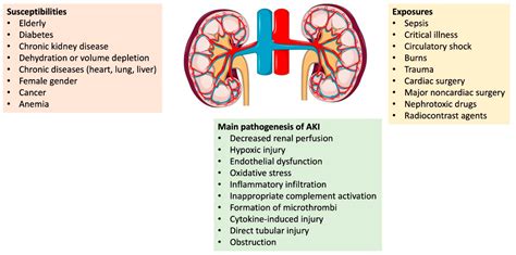 Acute Kidney Injury 1 Pre Renal Causes Of Aki – NBKomputer