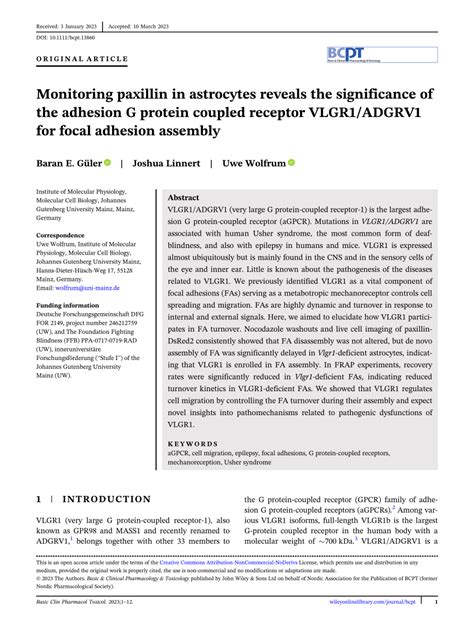 (PDF) Monitoring paxillin in astrocytes reveals the significance of the ...