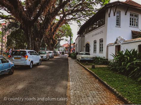 Explore Fort Kochi for a Bohemian Experience - Country Roads and Plum Cakes