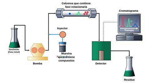 HPLC - Labster Theory