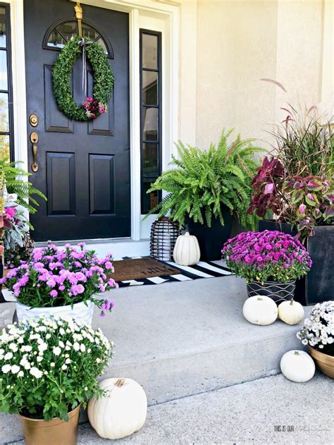 Fall front porch with pink purple mums and white pumpkins - gold ...