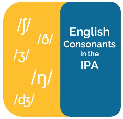 IPA English Consonant Sounds Examples - Listen & Record