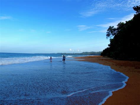 Playa Bluff beach, Isla Colon, Panama | Panama, Playa, Beach