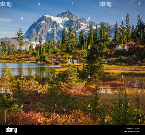 Mount Baker Snoqualmie National Forest Map