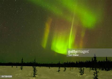 96 Chena River Alaska Stock Photos, High-Res Pictures, and Images ...