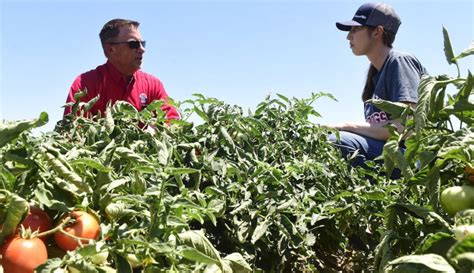 New Ag One President Brings over 30 years’ Experience to Fresno State ...