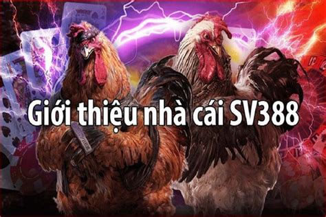 Đá Gà Thomo SV388 – Trang đá gà nhiều ưu đãi khủng nhất hiện nay ...