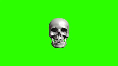 Rotating Skull #1 / Green Screen - Chroma Key - YouTube