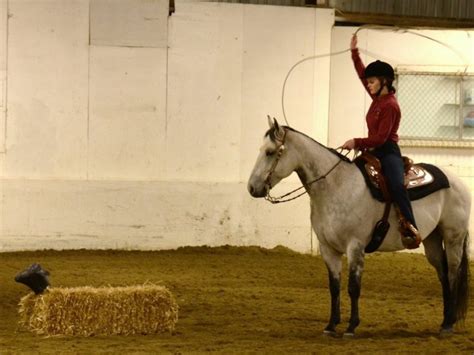 Enumclaw Equestrians Headed to State | Patch