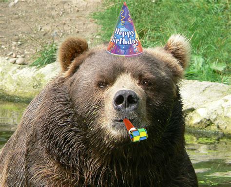 Happy birthday, Grumpy Cave Bear! - Off-Topic Rampancy - Reaper Message ...