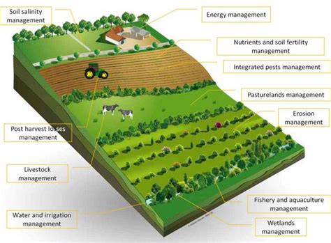 Agriculture, Sustainable