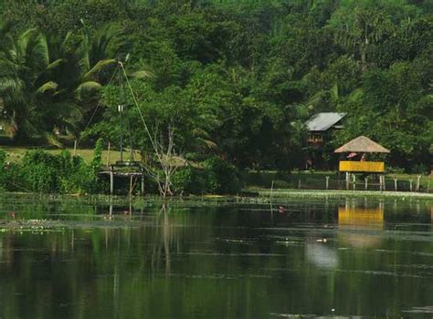 Salim Ali Bird Sanctuary, Kochi - Timings, Safari Cost, Best Time to Visit