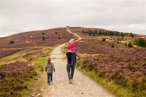 Coed Moel Famau car park closure - Clwydian Range and Dee Valley AONB