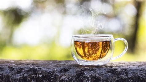 What is so special about Darjeeling tea? And the 5 best Darjeeling teas ...