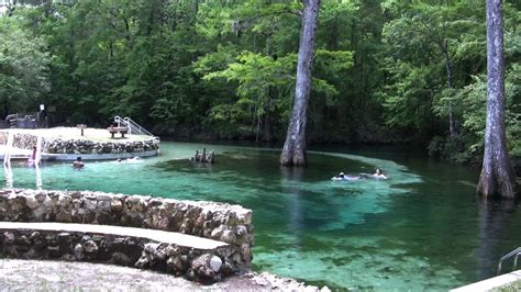 Picnic in the Park at Ponce de Leon Springs State Park Sept. 11 ...