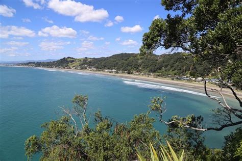 Ohope Beach TOP 10 Holiday Park - UPDATED 2018 Campground Reviews ...