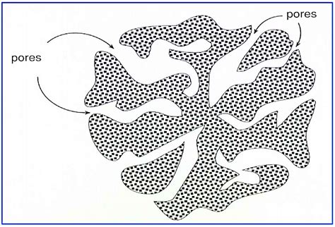 Activated Carbon Structure