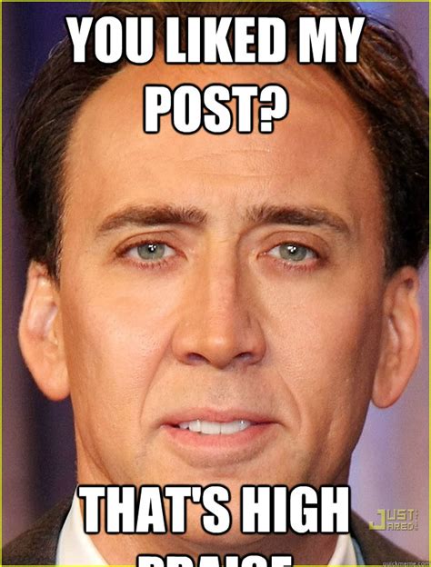 You liked my post? That's high praise - Nicholas Cage SoL - quickmeme