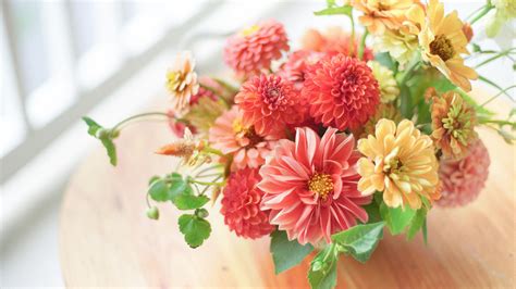 Floral Design Tips for Beginners