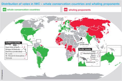 Statistics - JAPANESE WHALING