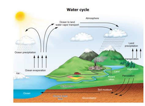 The process of water cycle — lesson. Science State Board, Class 6.